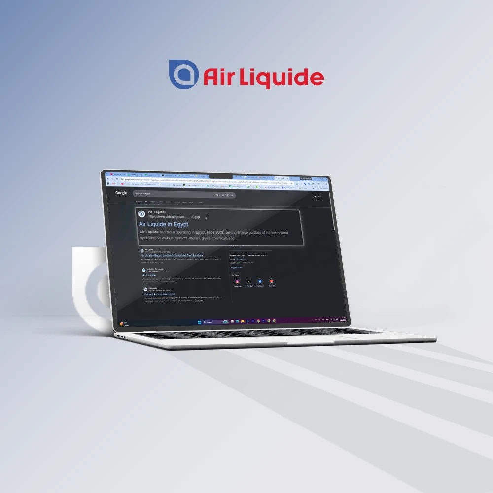 Chapters Digital Solutions SEO Case Study for Airliquide Cover