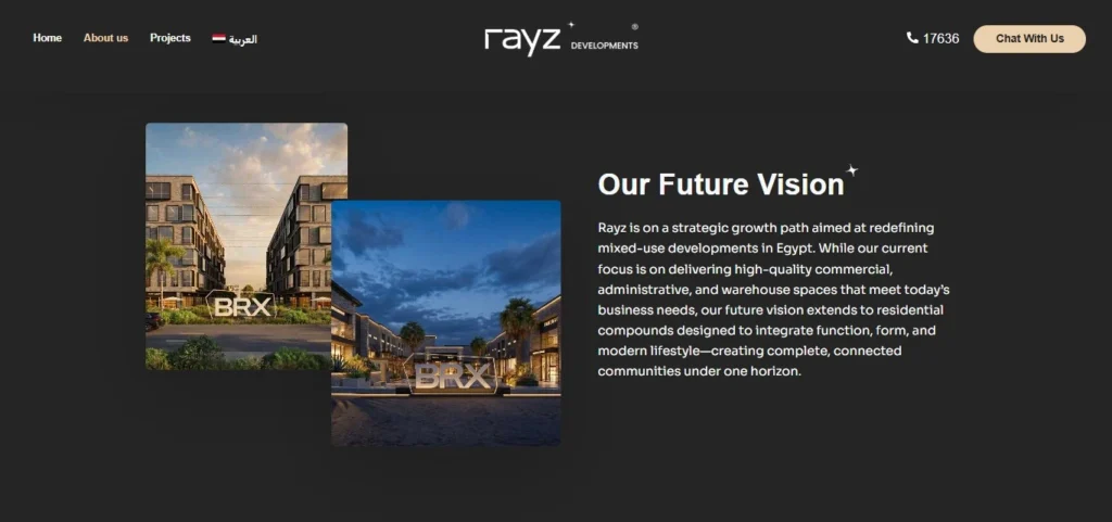 Chapters Digital Solutions Real Estate Website Development case study screenshot for Rayz Developments