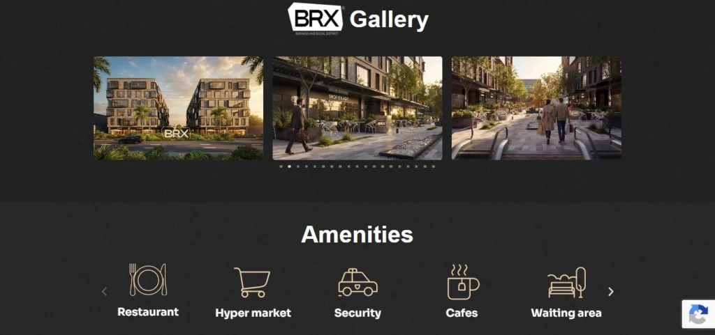 Chapters Digital Solutions Real Estate Website Development case study screenshot for Rayz Developments