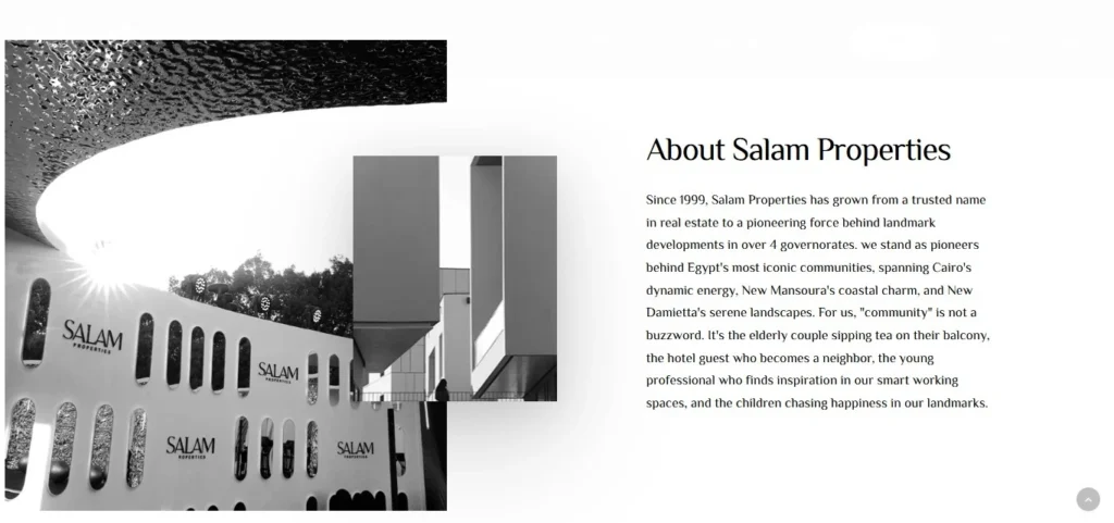 Salam Developments Website Development Case Study Home Page Screenshot